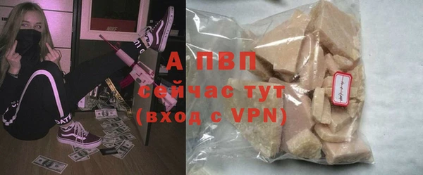 ГАЛЛЮЦИНОГЕННЫЕ ГРИБЫ Волосово