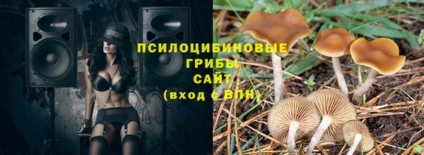 прущая мука Вязники