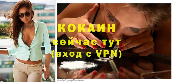 ГАЛЛЮЦИНОГЕННЫЕ ГРИБЫ Волосово