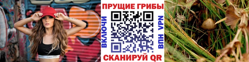 Галлюциногенные грибы Psilocybine cubensis  кракен tor  Одинцово 